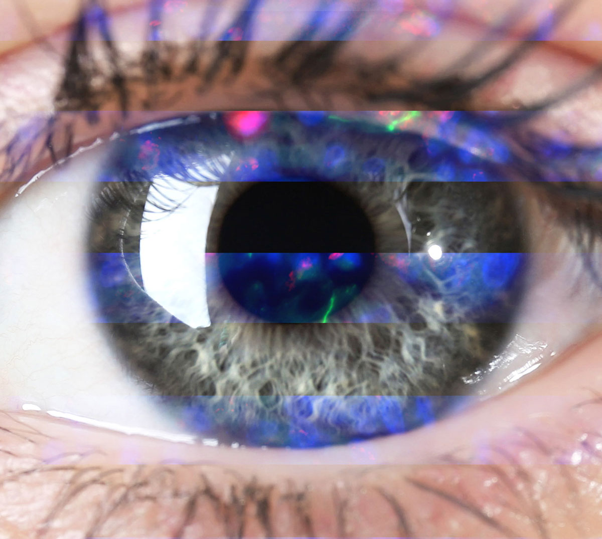 Closeup image of a human eye