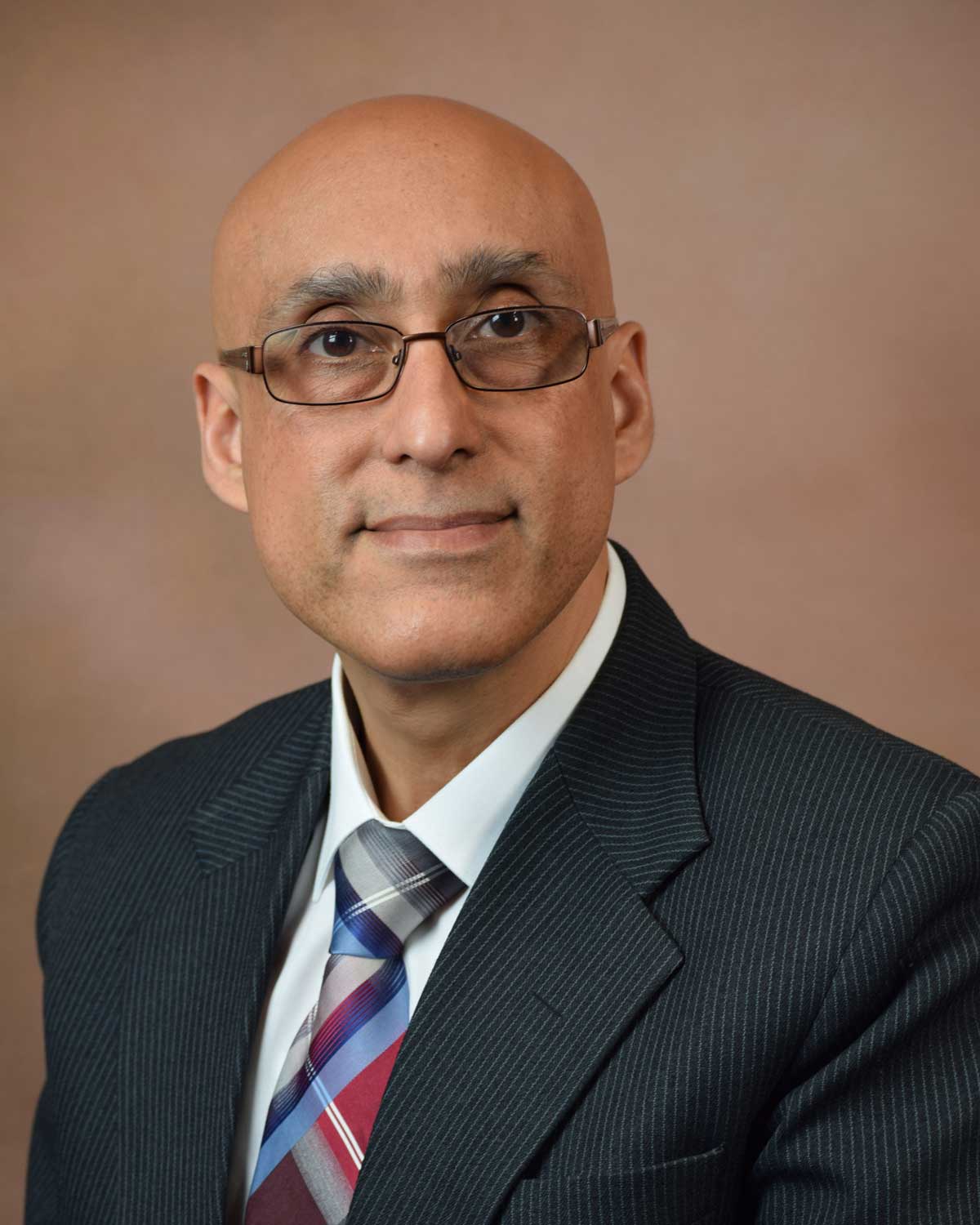 Sandeep Vansal, PhD, associate professor portrait