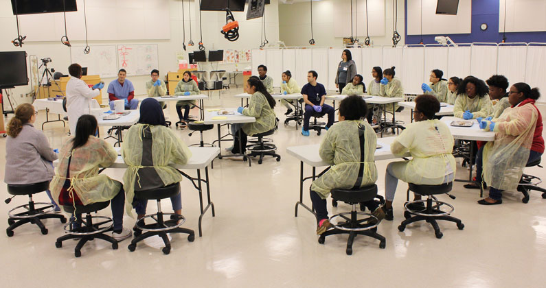 GA-PCOM's Opportunities Academy students learned about the major structures of the brain.