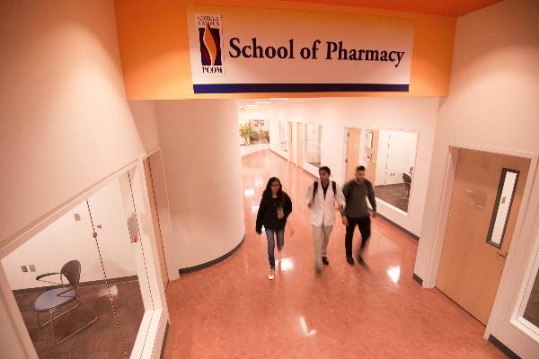Doctor of Pharmacy