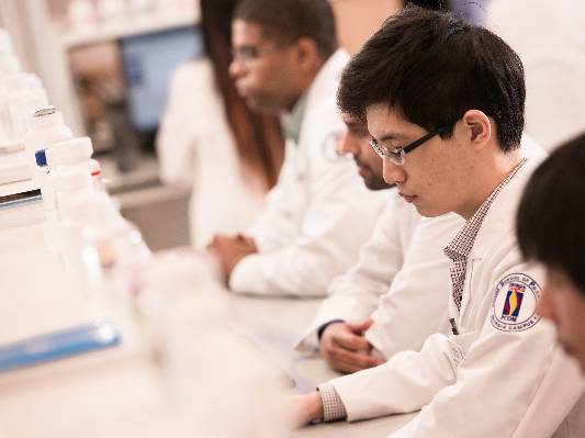 School of Pharmacy