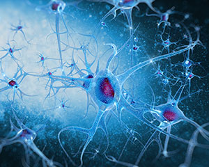 illustration of the neuron