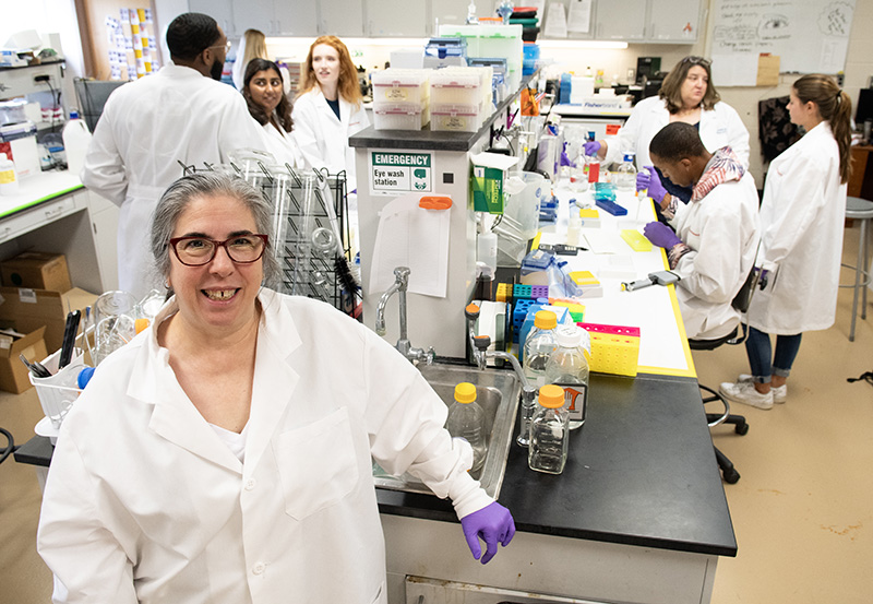 Marina D' Angelo, PhD, is a professor of anatomy with PCOM's Department of Bio-Medical Sciences on the Philadelphia campus. Photo circa 2023.