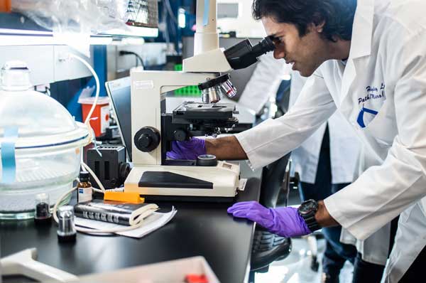 What is a Medical Laboratory Scientist and What Do They Do?