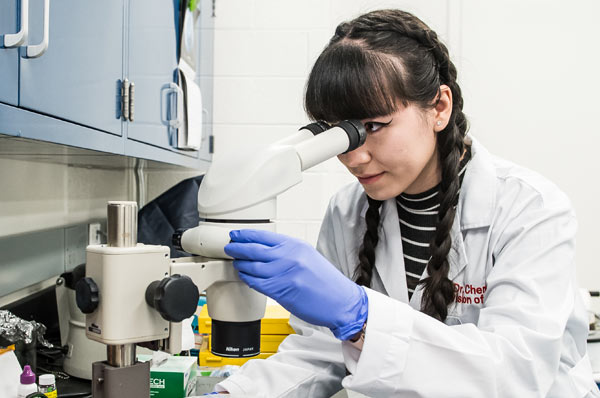 Biomed student looks through microscope in a medical lab