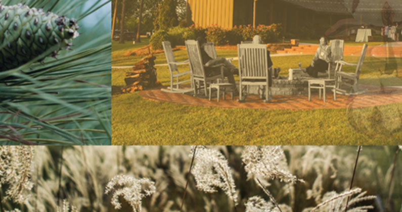 Collage of photographs showing the PCOM South Georgia campus and surrounding landmarks in Moultrie, GA