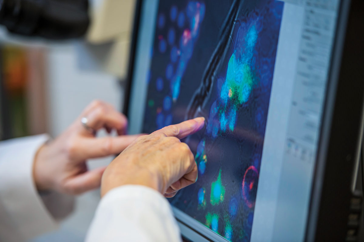 Two professors point at a computer screen at Myo/Nog vision cells