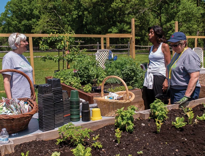 Women gather around an outdoor table in a lush, green garden