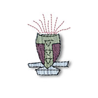 Illustration of PCOM crest