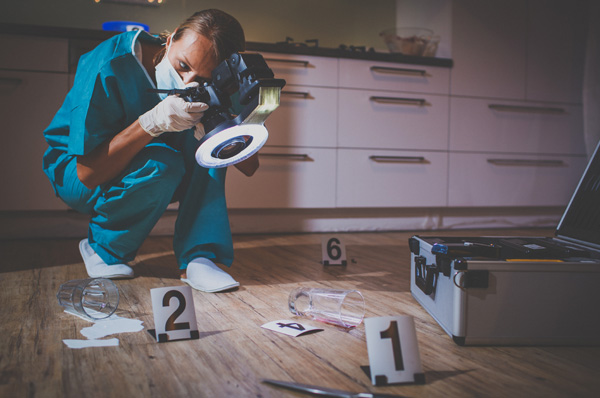 Forensic Careers What You Can Do With A Degree In Forensic Medicine