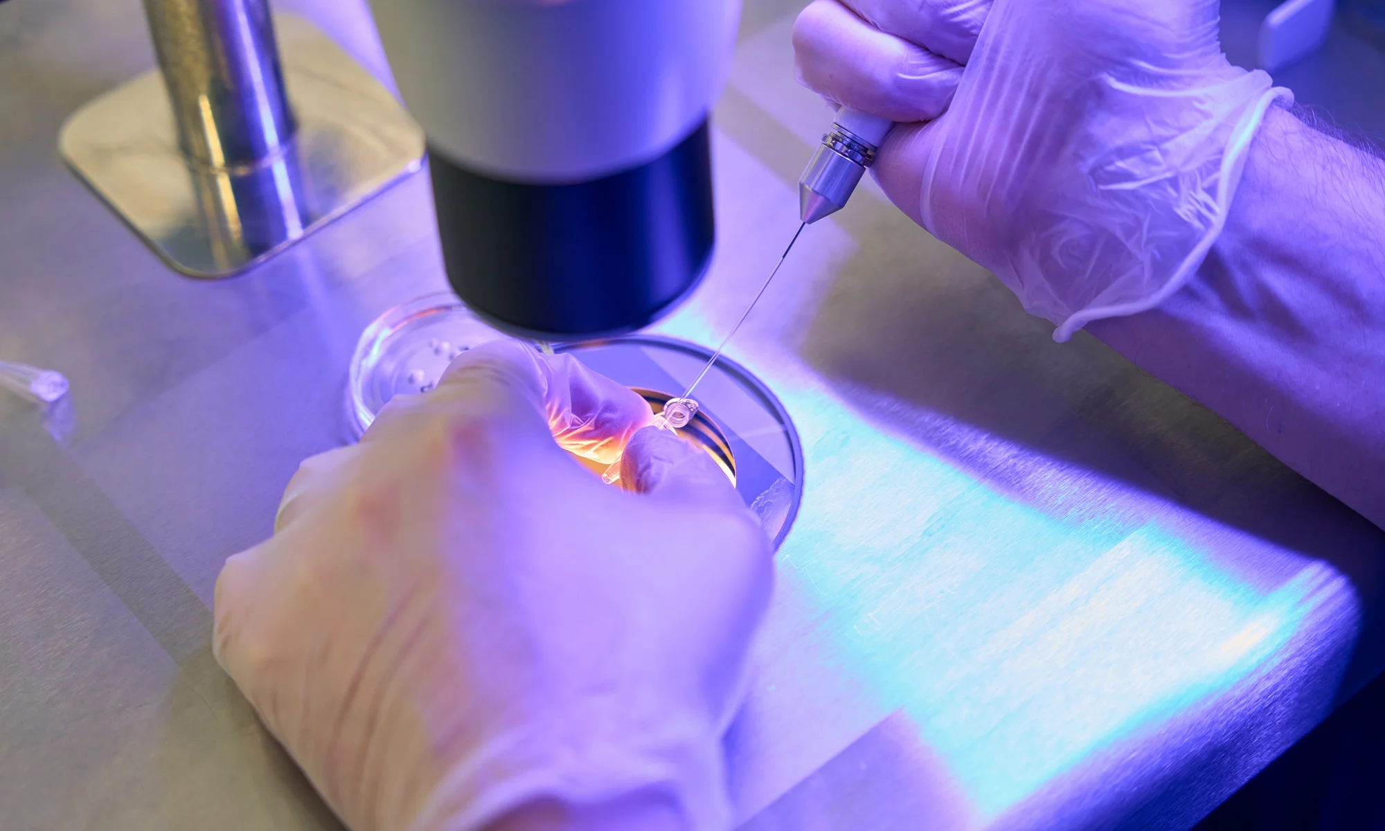 A CCDA researcher's hands using instruments and a microscope in a laboratory at PCOM