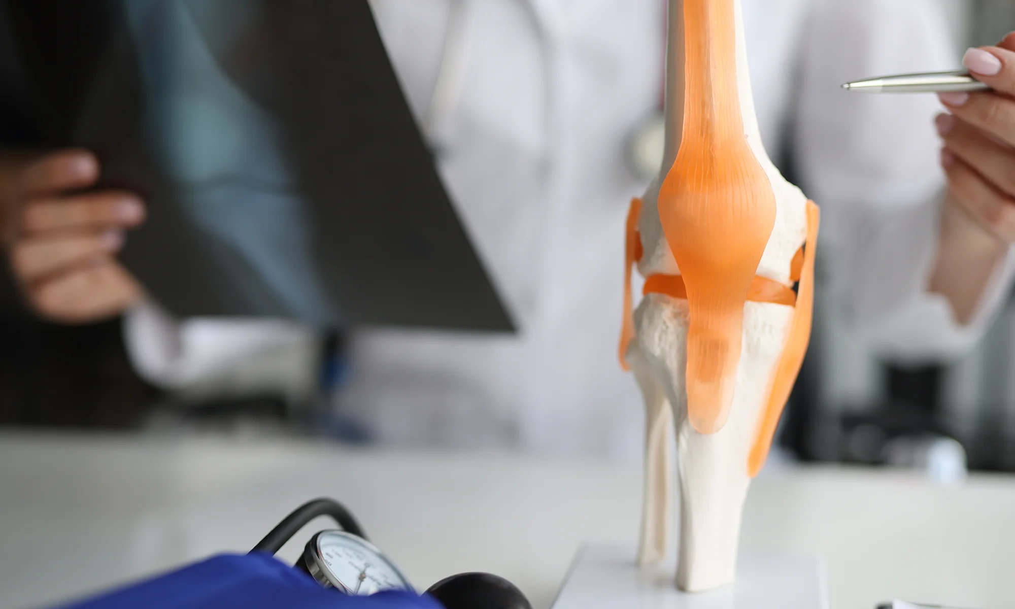 Researcher pointing to a bone and ligament model while conducting research on a tablet