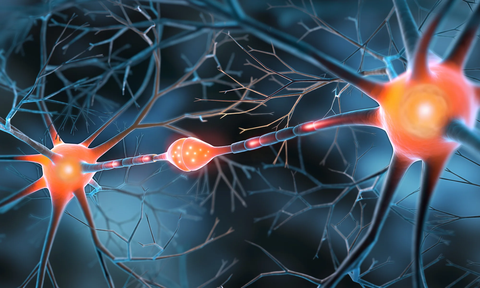 Art image or red nerves representing pain research