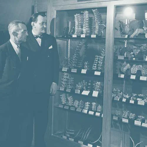 Black and white photo of PCOM's Dr. Angus Cathie examining preserved bone specimens in a glass case.