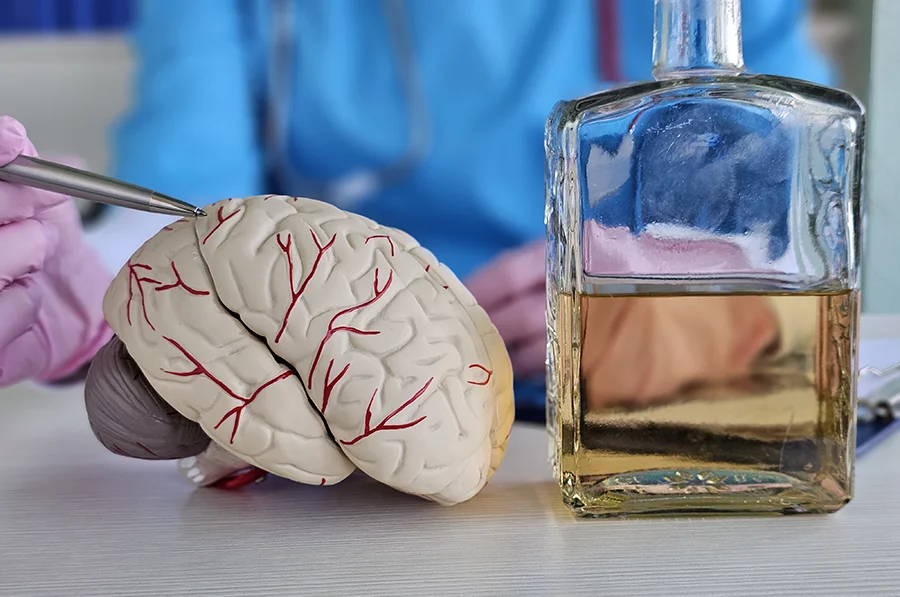 Healthcare worker illustrates effects of alcohol on the brain my placing a droplet of liquor on a model brain