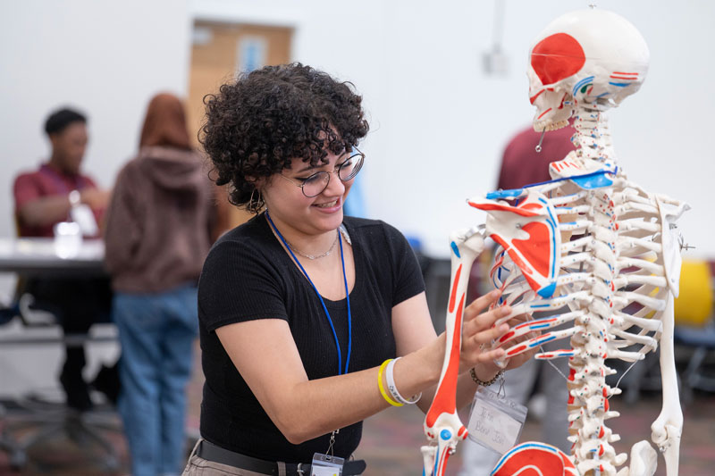 High school student practices with skeleton anatomy model