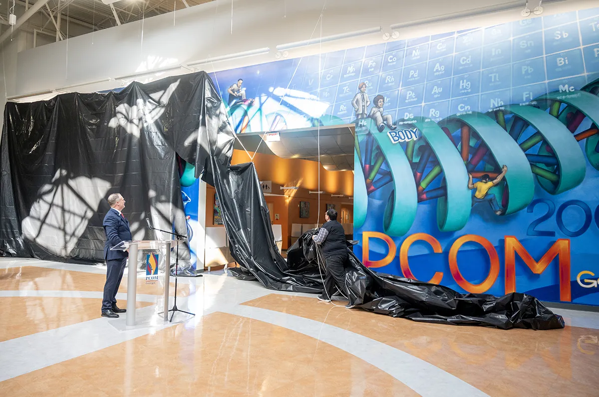 PCOM Georgia staff pull down a large curtain veil to reveal the new DNA art wall