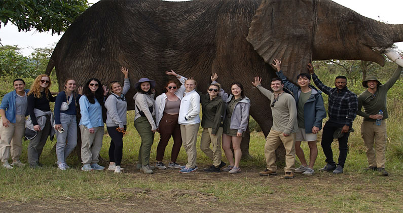 PCOM Georgia students stand in front of an elephant in Tanzania