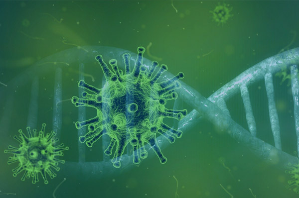 Coronavirus: Expert Provides a Guide to Common Questions