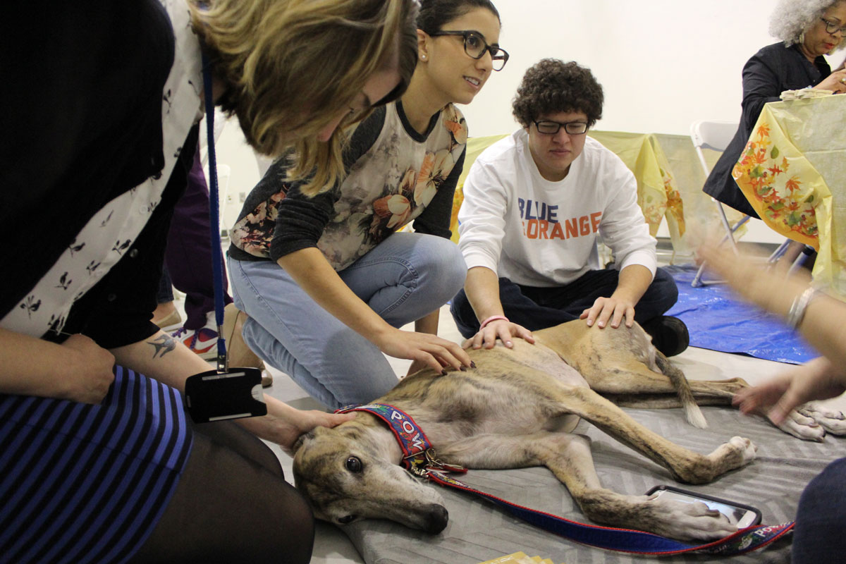 students petting therapy dog