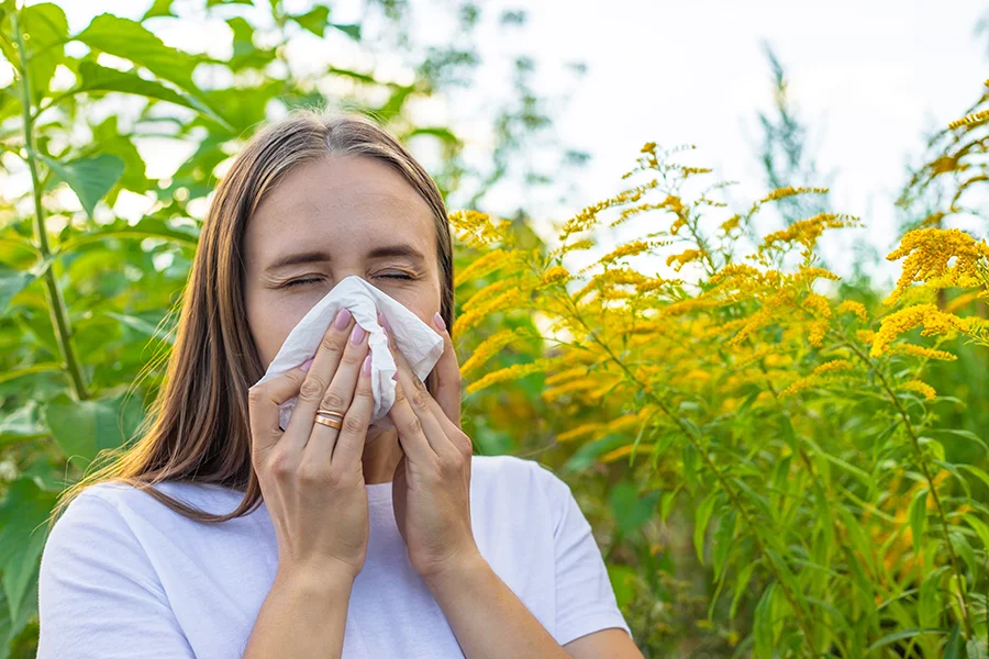 Young adult sneezes into a tissue outside in front of a row of ragweed plant in Georgia