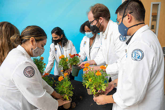 PCOM Georgia medical student Candice Tate holds a marigold flower and stands with the body donor program coordinator and a donor family member.