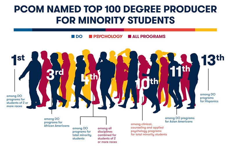 diversity infographic