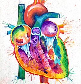 
 Photograph of a colorful, stylistic painting of the human heart by Gabrielle Mamo 
