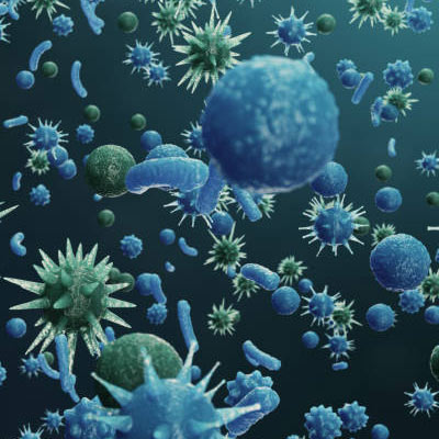 Rendering of virus cells