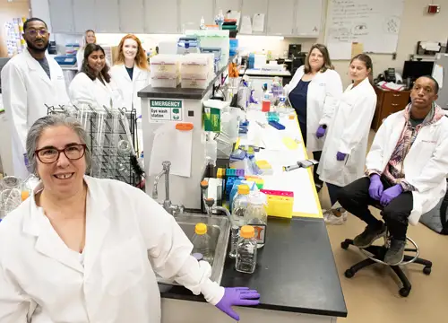 Student researchers in the lab