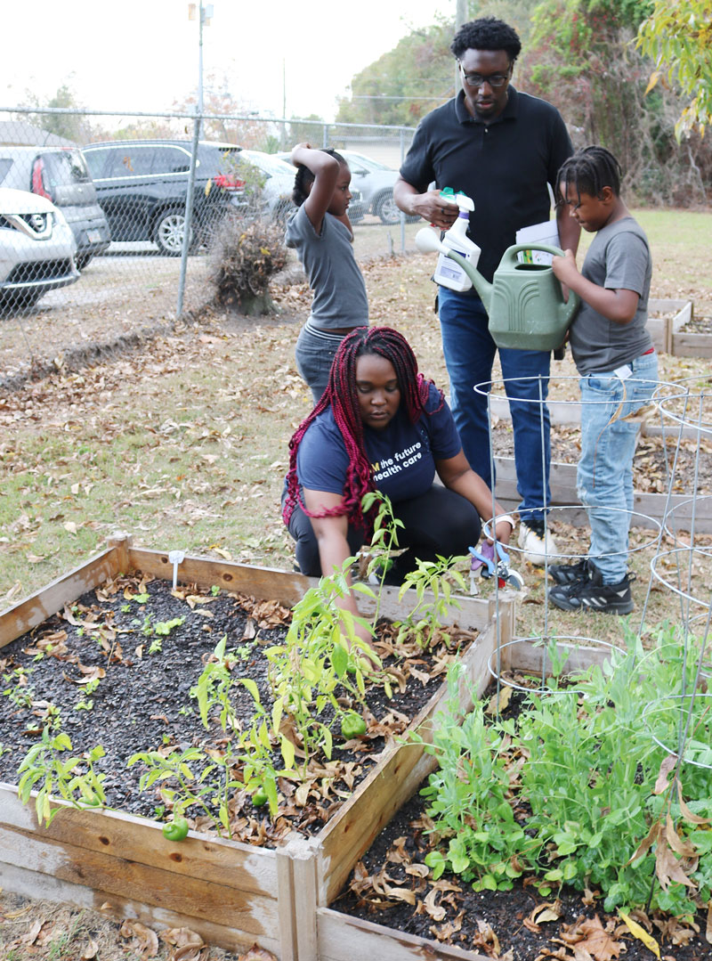 Student physician, kneeling, inspecting bell pepper plants while other student, standing, gives gardening directions to Boys & Girls Club members.