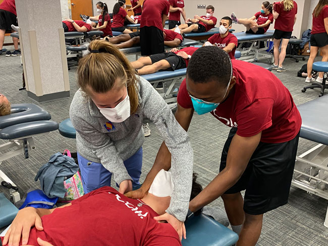 One of PCOM's clinical scholars assists a DO student in the OMM lab.