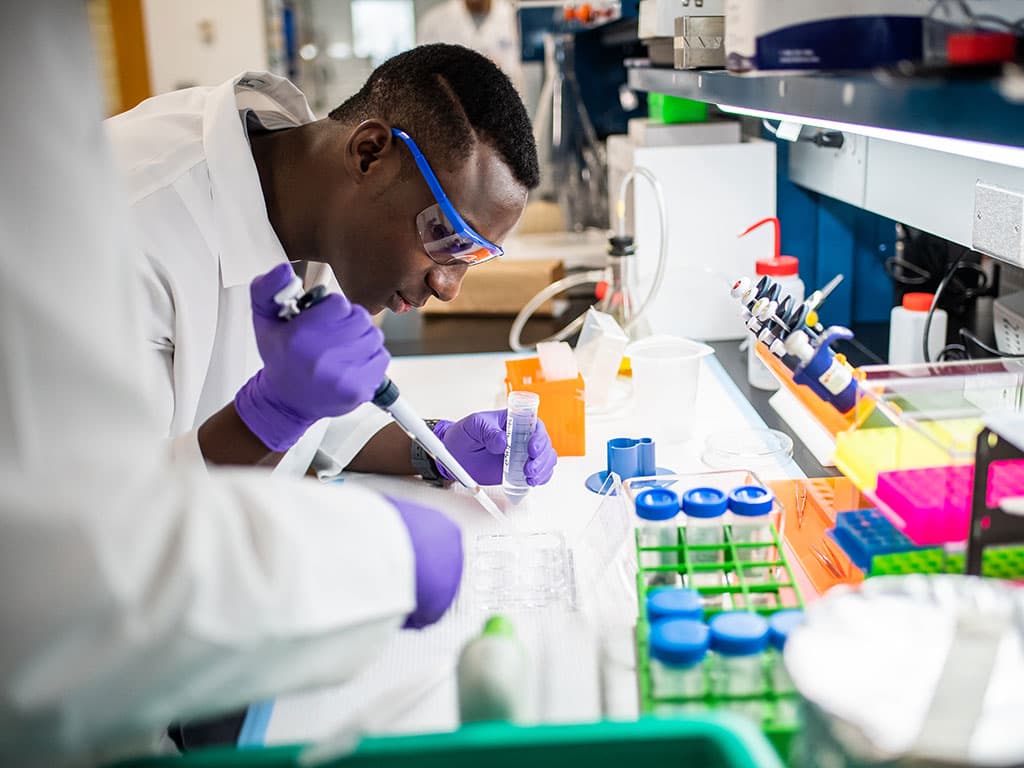 A PCOM biomedical sciences student works in a biomed lab at PCOM's Philadelphia campus.