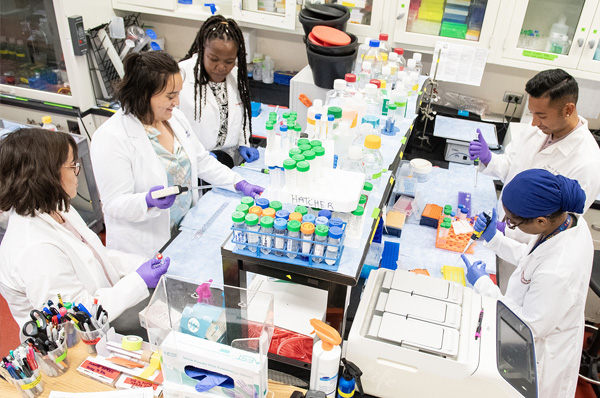 Biomed students working in the lab