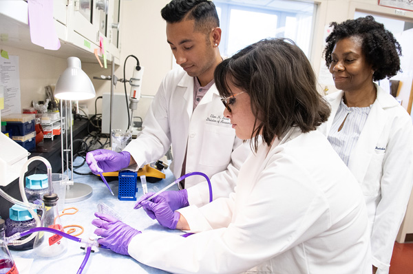 Biomedical sciences students work in a biomed lab at PCOM's Philadelphia campus.