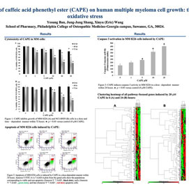 Inhibitory Effect Of Caffeic Acid Phenethyl Ester (Cape) On Human Multiple Myeloma Cell Growth: The Role Of Oxidative Stress