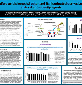 Caffeic Acid Phenethyl Ester And Its Fluorinated Derivative As Natural Anti-obesity Agents