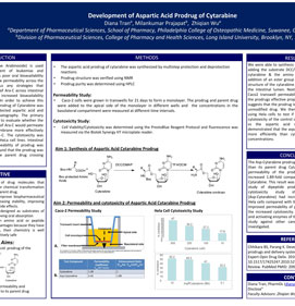 Development of Aspartic Acid Prodrug of Cytarabine