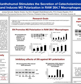 Xanthohumol Stimulates the Secretion of Catecholamines and Induces M2 Polarization in RAW 264.7 Macrophages