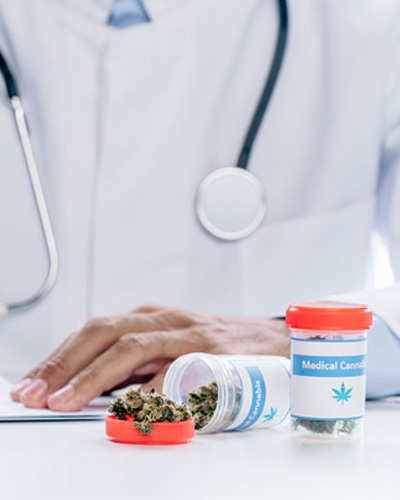 Pharmacy Program Introduces Medical Cannabis Concentration portrait