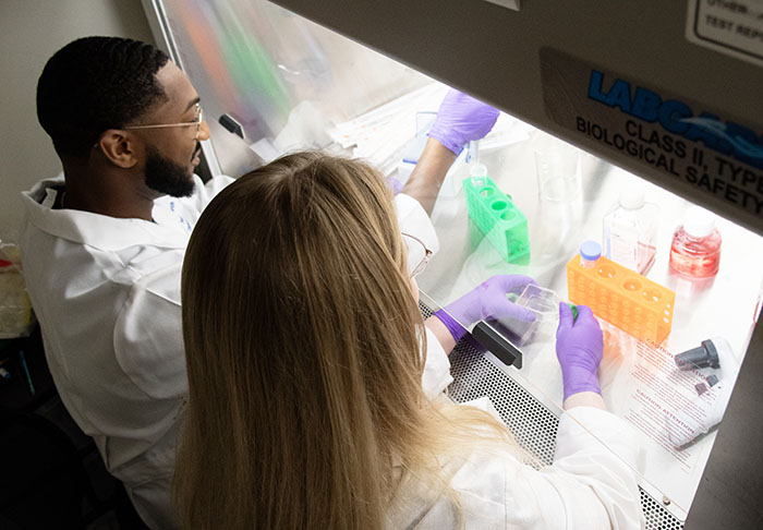 Two PCOM students work on osteoarthritis research with lab equipment
