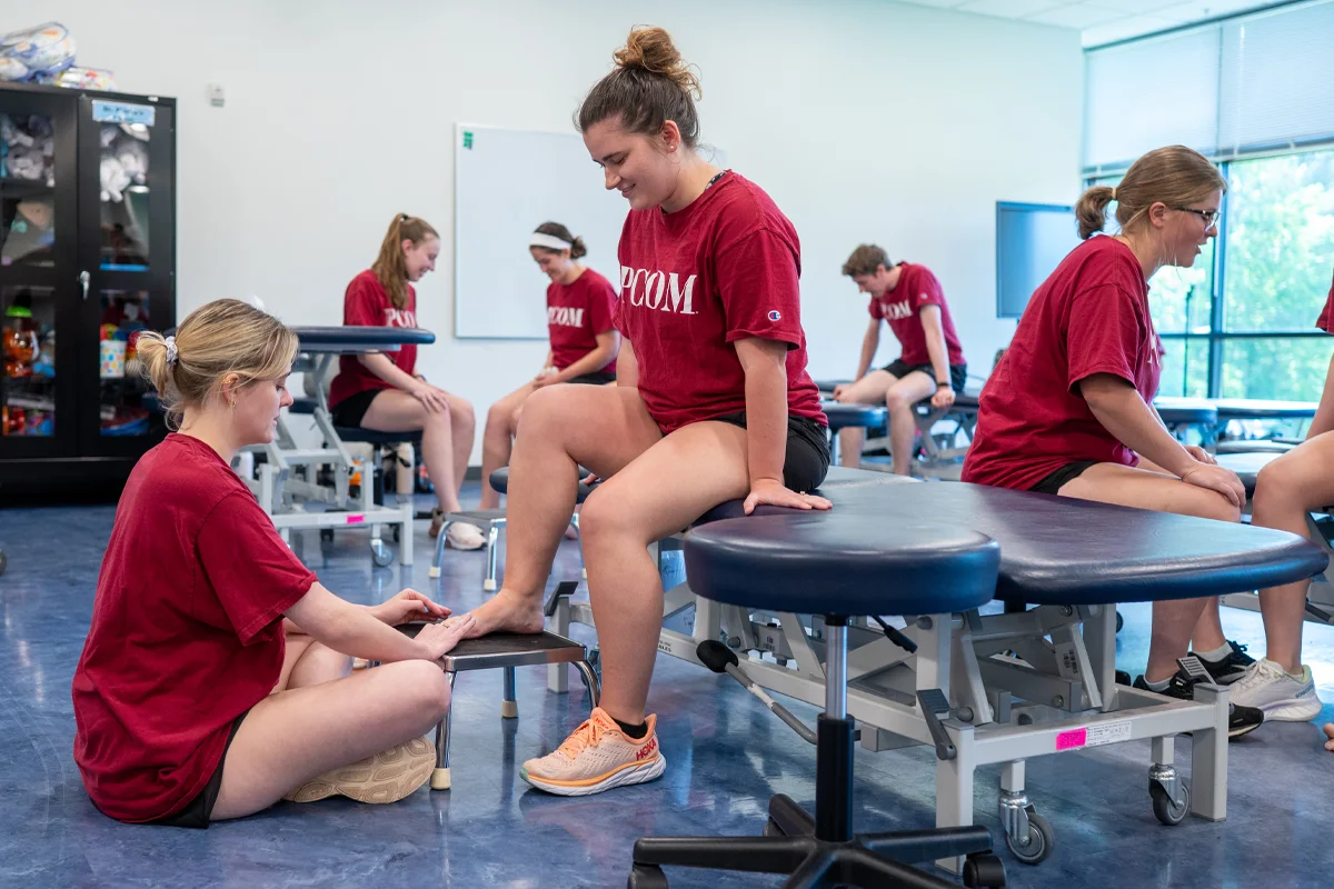 PCOM Georgia DPT students working through a learning exercise together