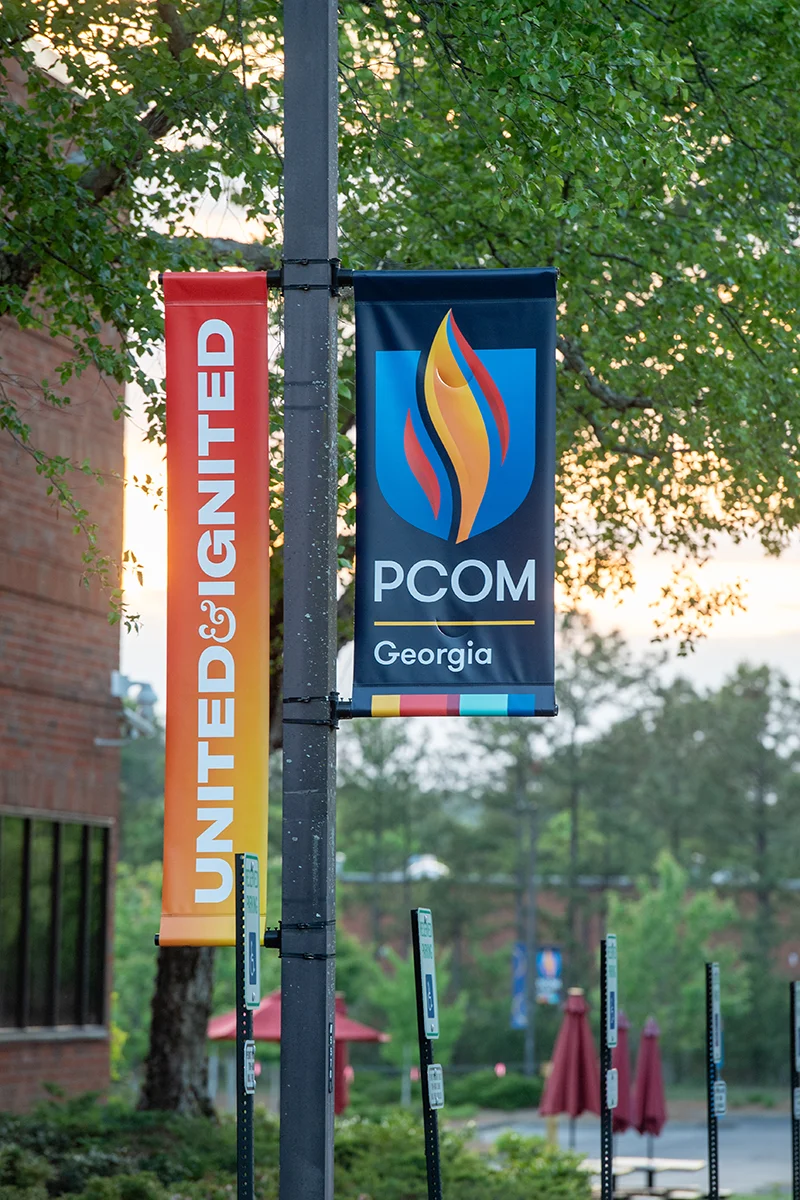 Vertical shot of a PCOM Georgia banner sign on a lightpole