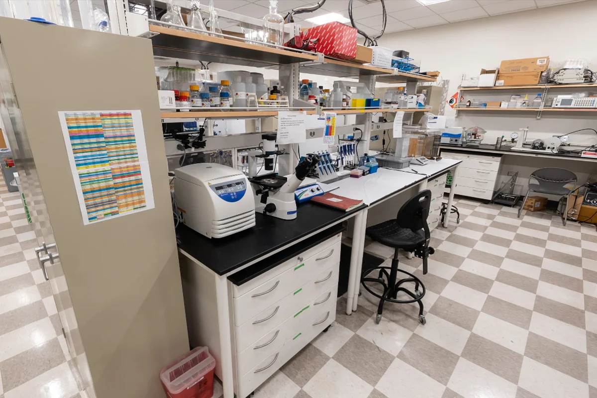 Wide view of the tables and equipment of a PCOM Georgia research lab
