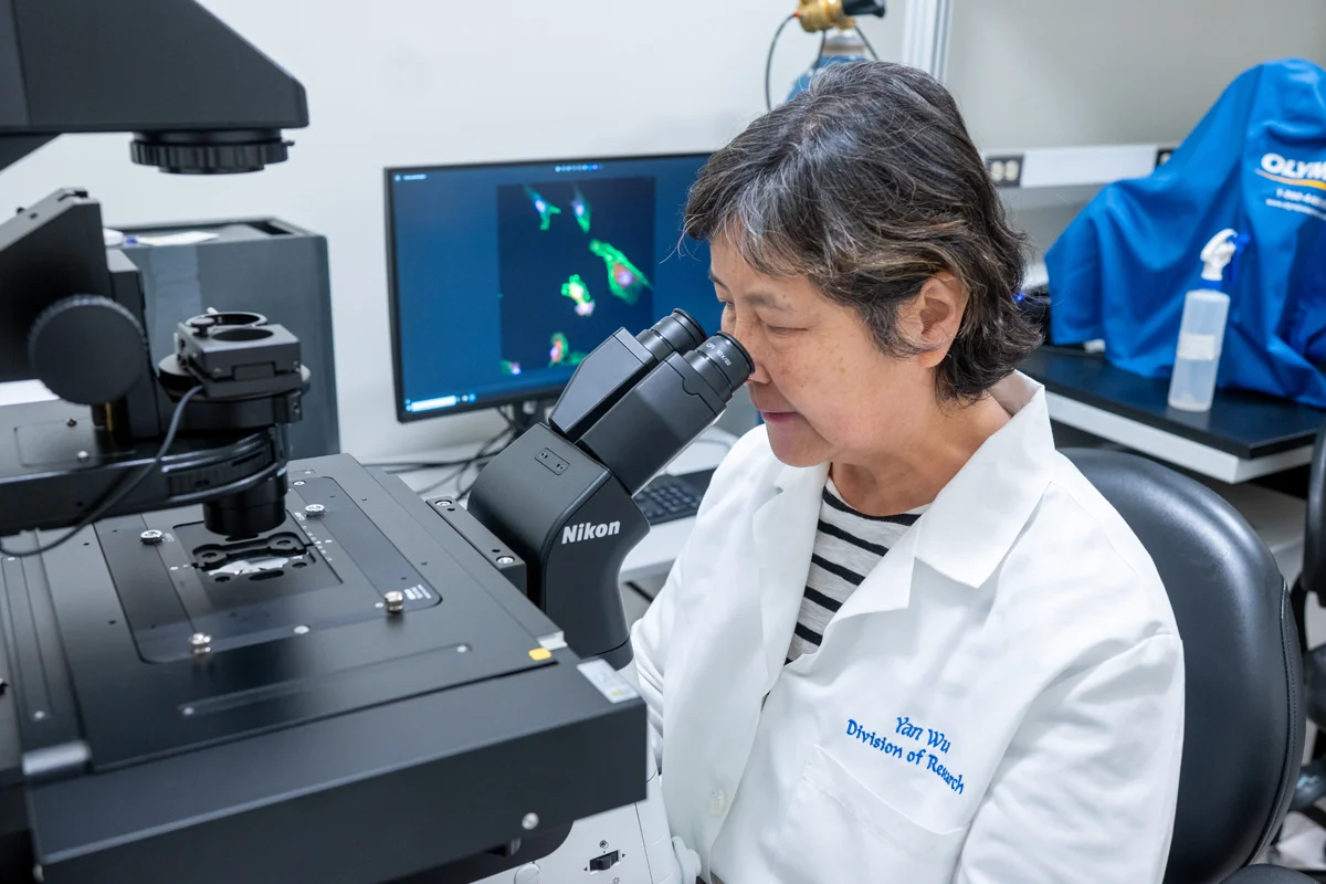 A PCOM Georgia biomed faculty member uses a microscope in a research lab at PCOM Georgia