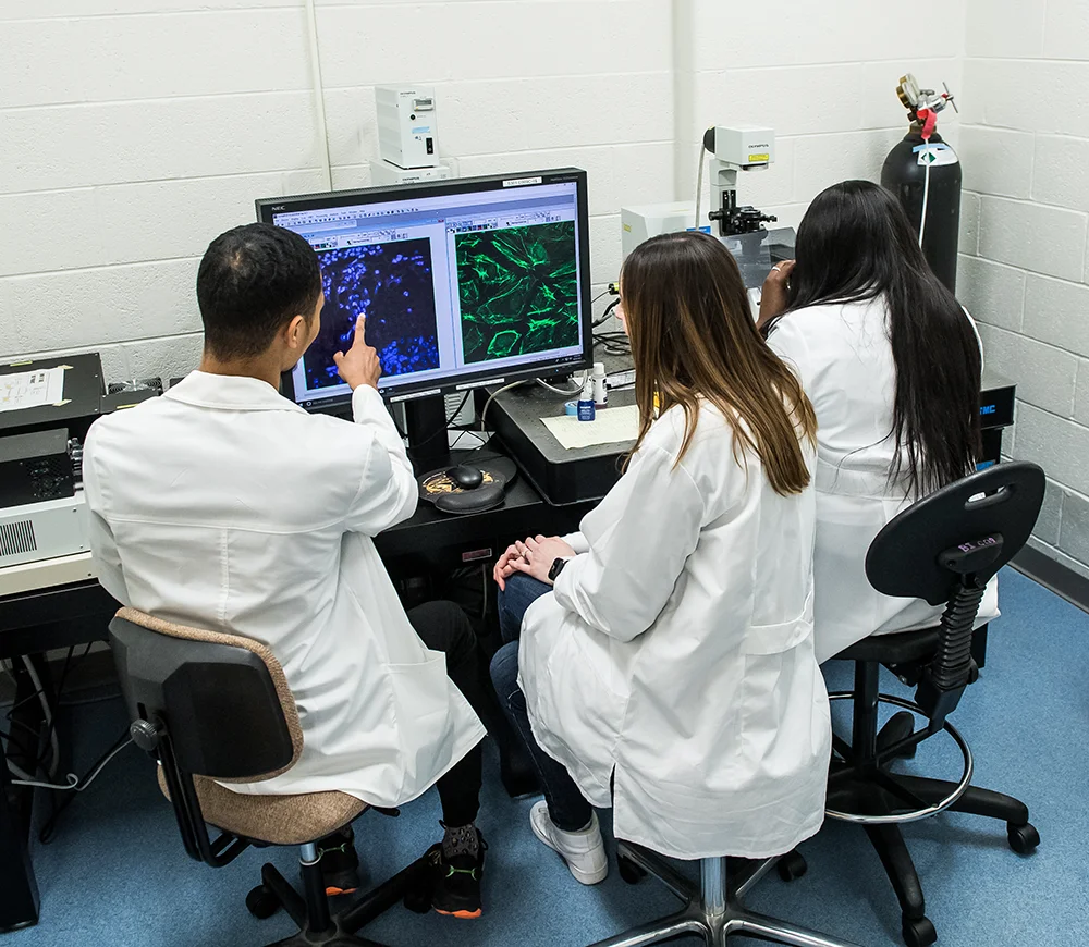 Students looking at cell samples on screens next to a microscope in the bioimaging lab