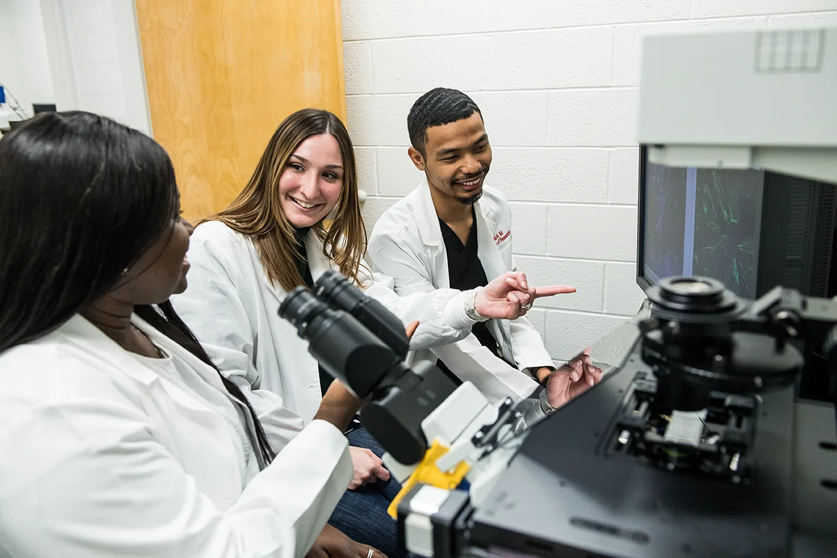 Students smile as they point to cell structures on computer screens in the bioimaging lab
