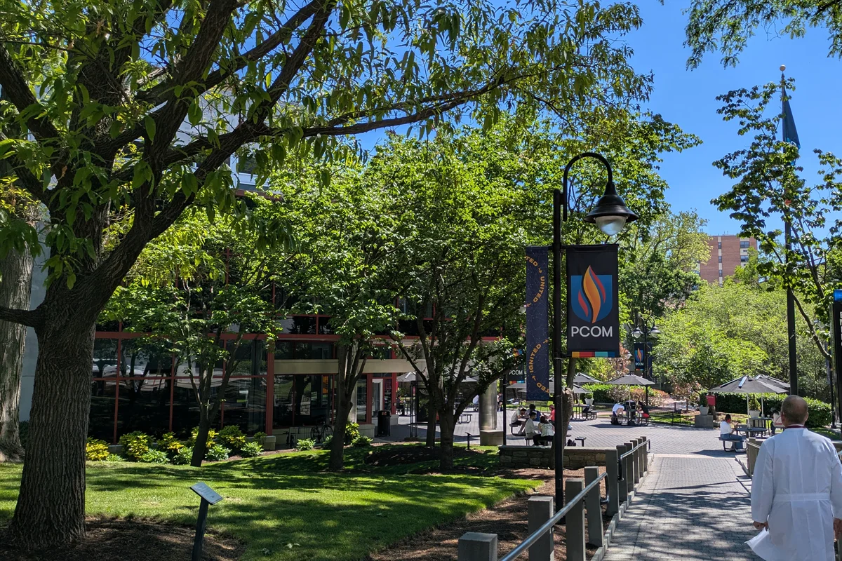 View of a main walking pathway in PCOM's central courtyard