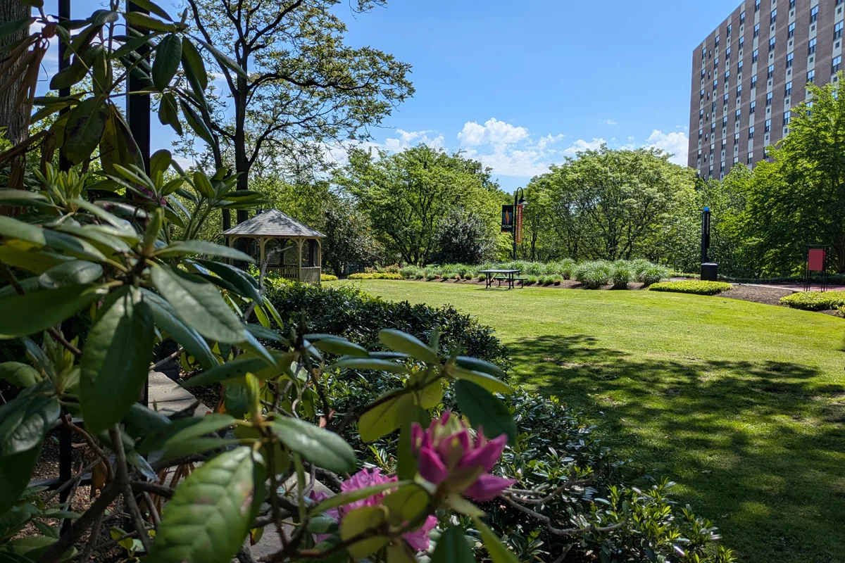 Gazebo, lawn area and flowers during spring season