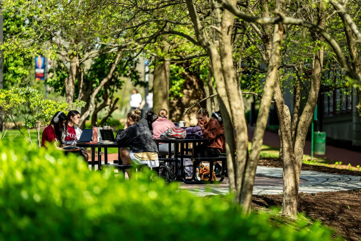 Students sitting and studying around tables in the shade of trees in the central courtyard